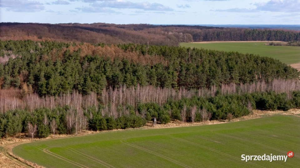 Działka o powierzchni 1188 m2 pod Szczeciniem Szczecin