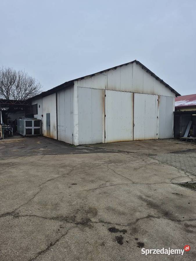 Sprzedam wydzierżawie 3 hale magazynowe