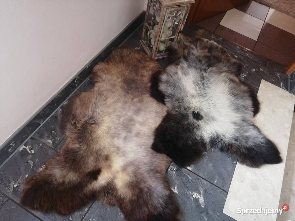 Skóry dekoracyjne naturalne Zakopane sprzedam