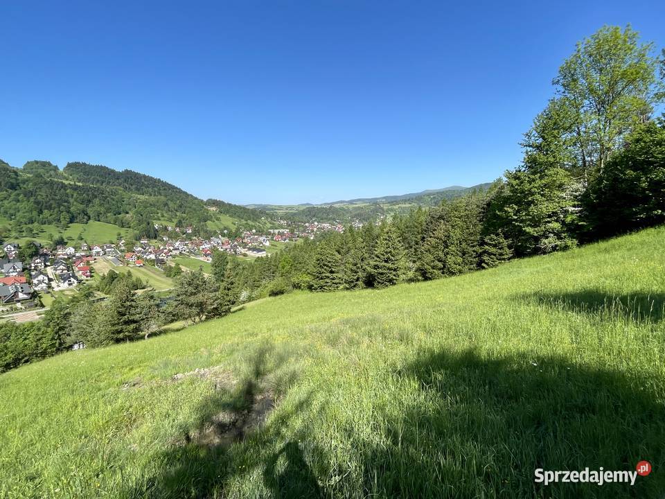 Działka rolna rekreacyjna Krościenko Dunajcem 4082m2 Krościenko nad Dunajcem sprzedam