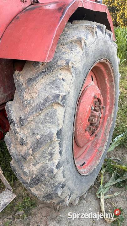 MTZ 82 Chełmżyca