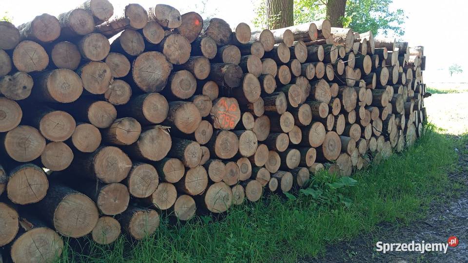 drewno opałowe kłody buk jesiondąb Jelenia Góra