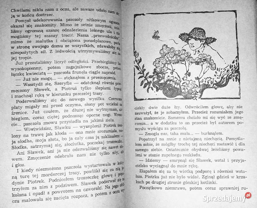 Szeryf z malinowego wzgórza Mirosław Malcharek Chełm sprzedam