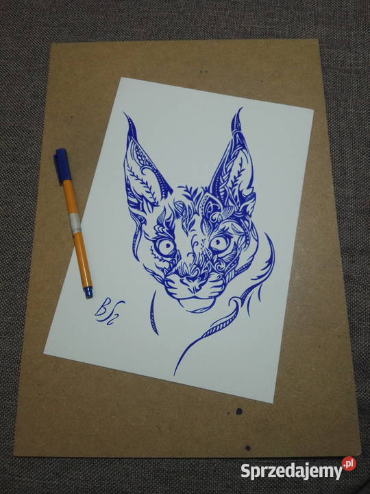 Rysunek karakal cienkopis A4 200gm2 mazowieckie Warszawa