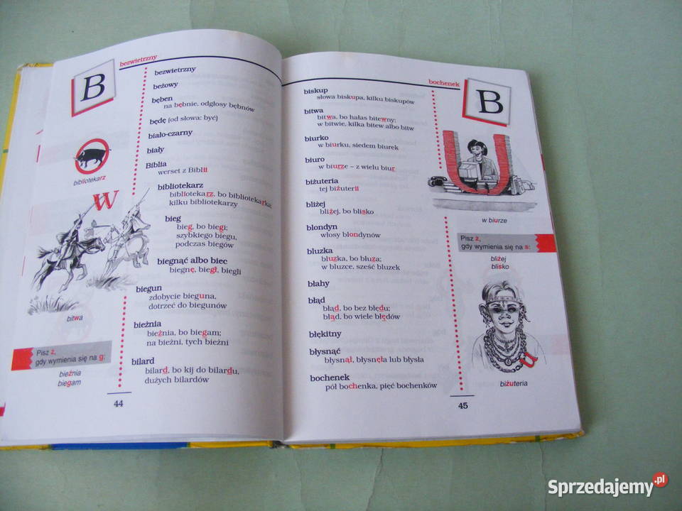 Księga gramatyki Lamelii Szczęśliwej Ilustrowany Oborniki Śląskie