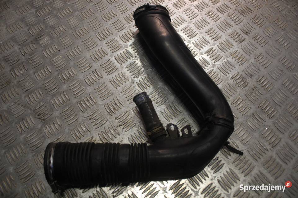 RURA DOLOT POWIETRZA PEUGEOT 307 20 HDI wielkopolskie