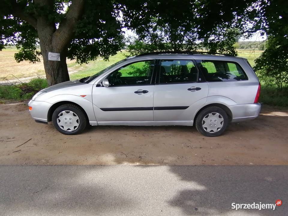 Ford Focus 16 16v benzyna 186487km Focus Konstantynów Łódzki