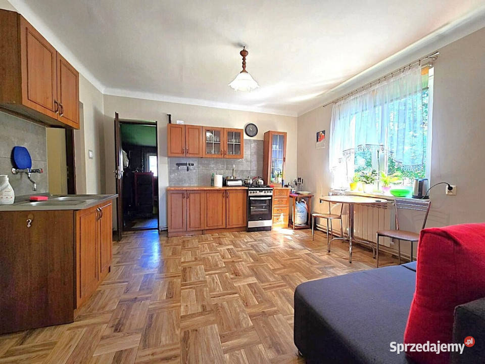Siedlisko w Kolonii Ostrówek o pow ok 435 ha Sprzedaż Ostrówek-Kolonia