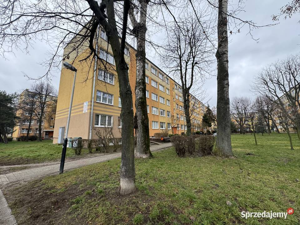 Sprzedam mieszkanie Pabianice Bugaj 39m2