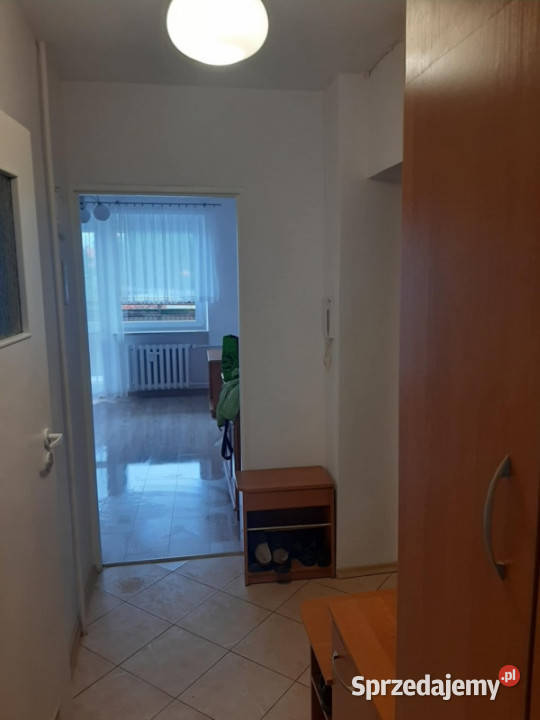 Sprzedam mieszkanie z balkonem2 pokoje3 piętro balkon Sprzedaż Słupsk sprzedam