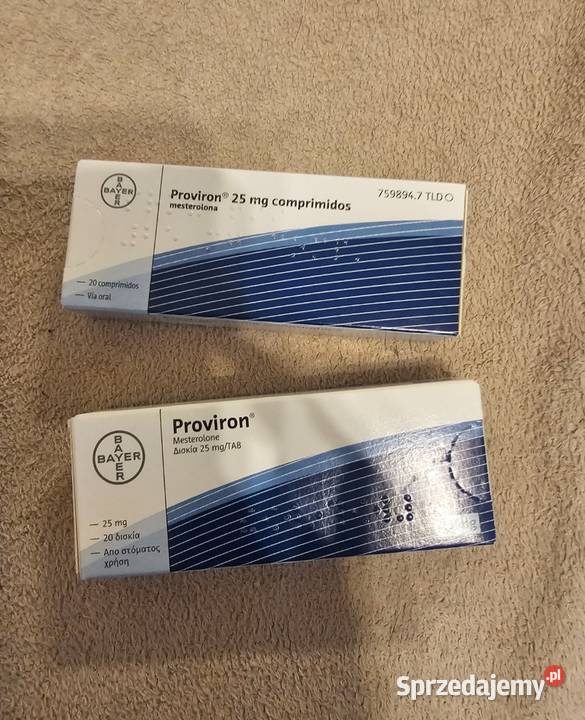 Potencja erekcja siła Poznań