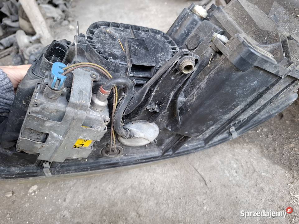 Lampa Prawa Przód Volkswagen Passat B5 FL XENON Wisznice