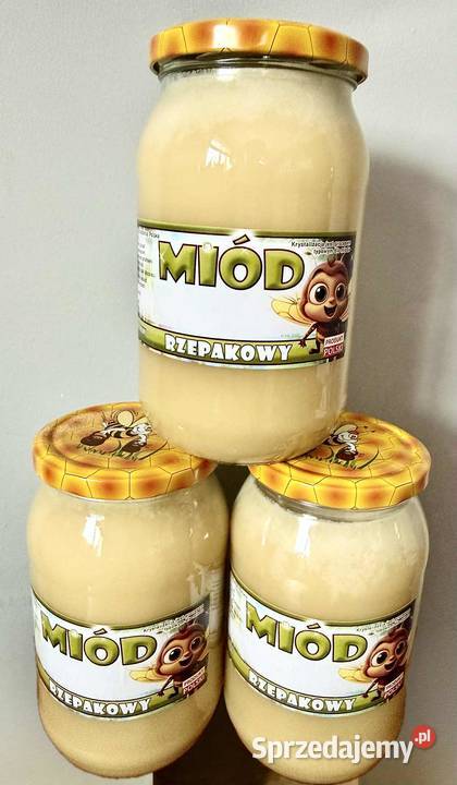 Miód Nasutów sprzedam