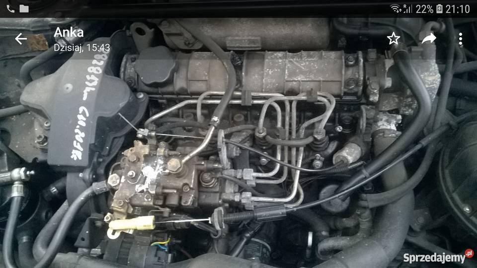 Renault R19 chanade diesel , czesci Gubin Sprzedajemy.pl