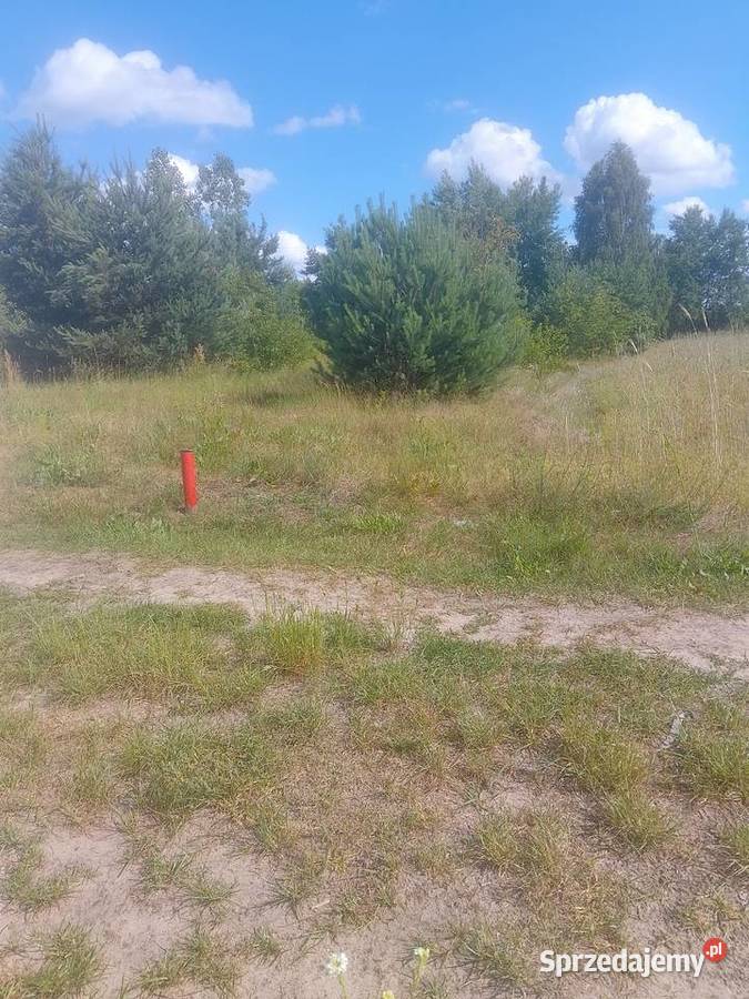 Sprzedam działki budowlane 3000 m2 Bernów