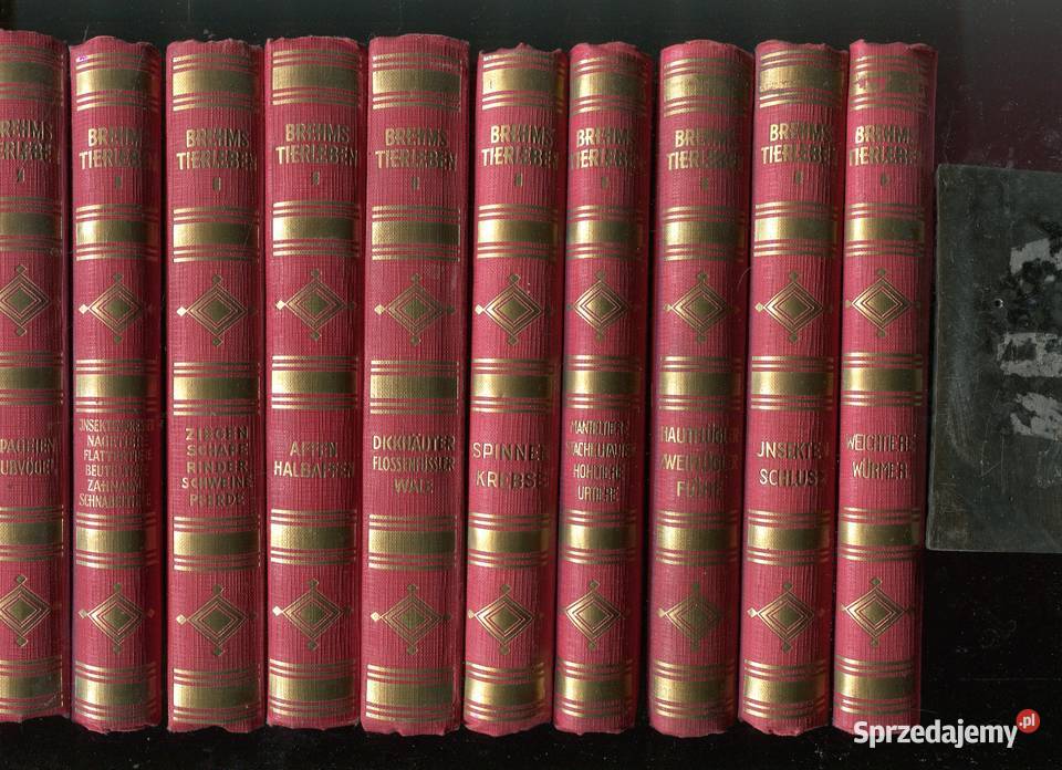 Tierleben T110 Brehms Rok wydania 1928 zachodniopomorskie Szczecin
