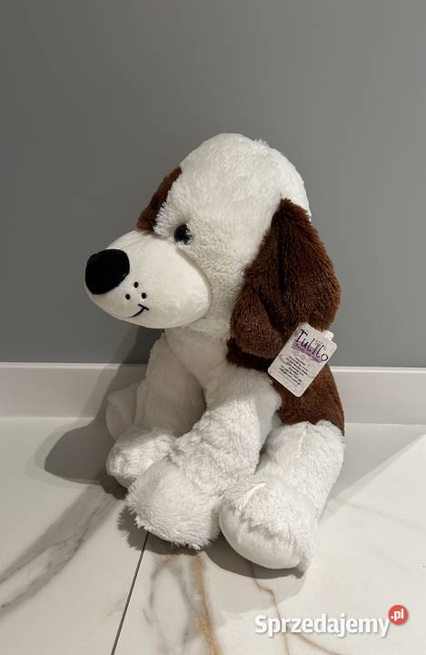 Tulilo śliczny duży piesek nowy 39 dolnośląskie Wrocław