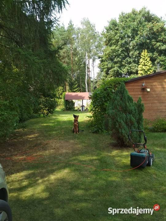 Działka z domkiem w Słowaku Grunty i działki Słowak