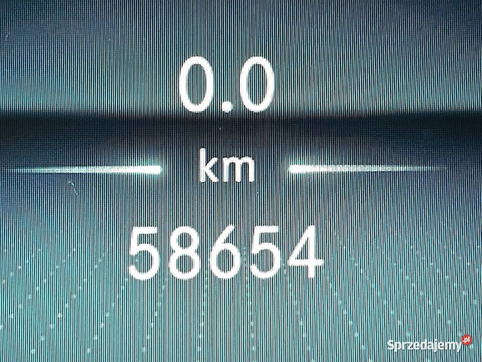 MercedesBenz SPRINTER 515 kontener winda