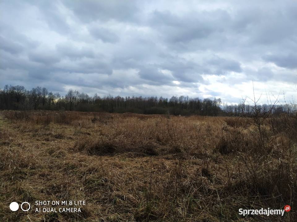 Miłocice Siedlisko 10 ha dolnośląskie Jelcz-Laskowice