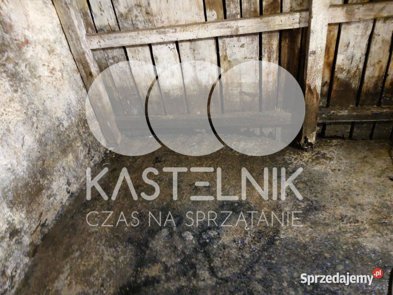 Sprzątanie zalaniach usuwanie szkód Gubin