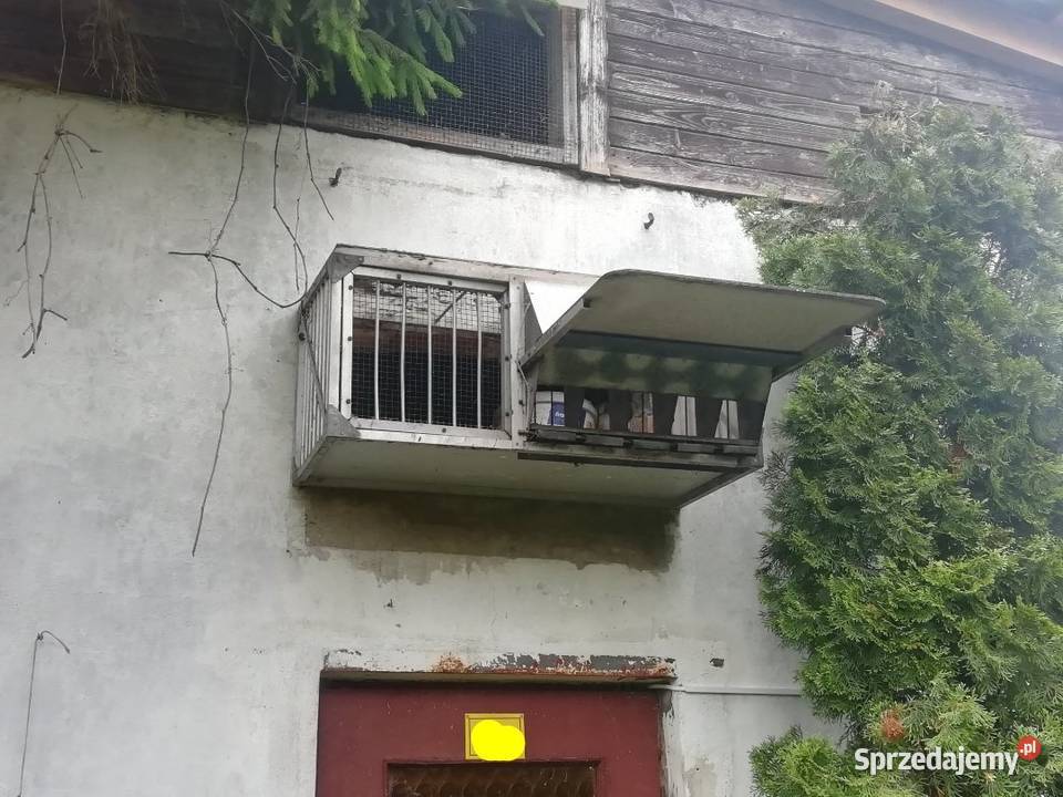 Klapa do gołębnika śląskie Lubliniec