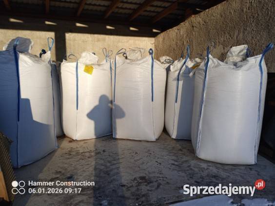 Nasiona seradeli Lubomierz sprzedam