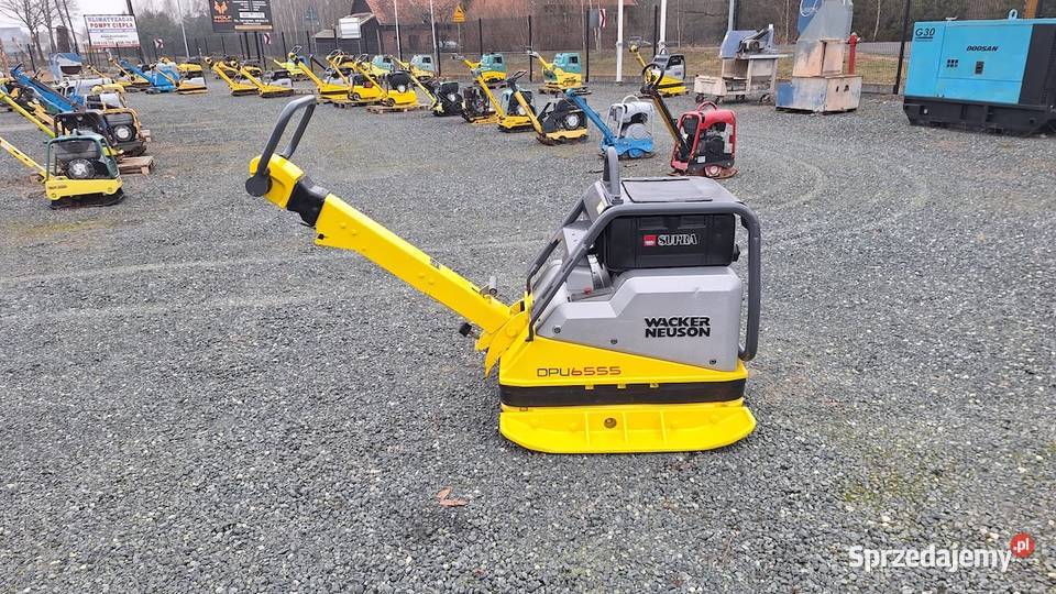 Zagęszczarka Ubijak Gruntu 2017 WACKER NEUSON Trzebnica