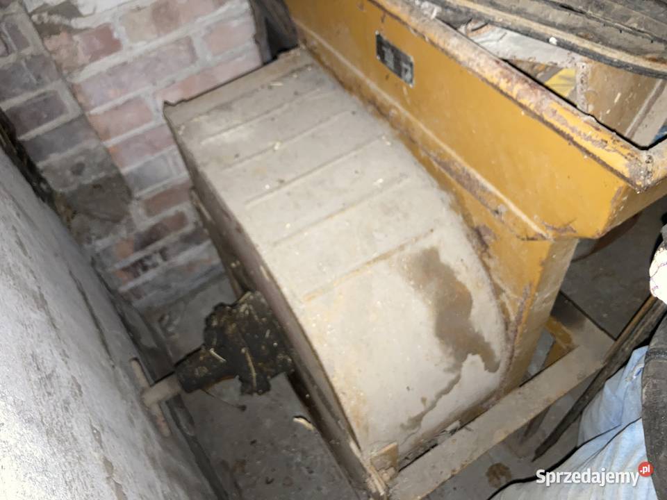 Śrutownik nieuszkodzony Telatyn