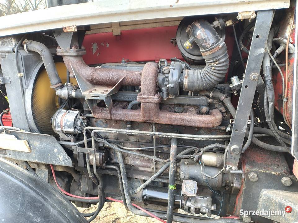 Steyr 8120 podkarpackie Medyka