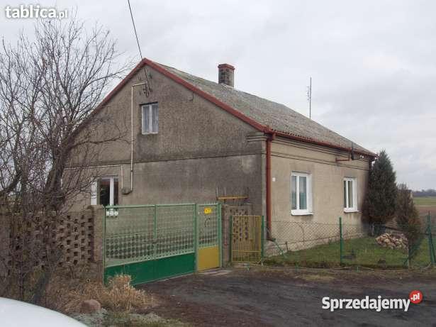 Siedlisko w Zagajewicach gm Osięciny Dom z zabu gospodarstwo Osięciny