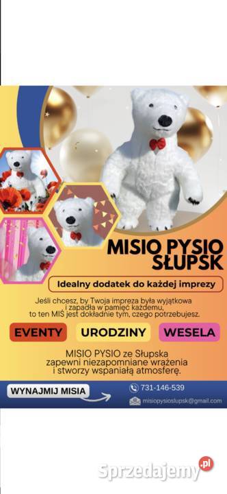 GOTOWY BIZNES Wielki Miś 26m maskotka TikTok pomorskie