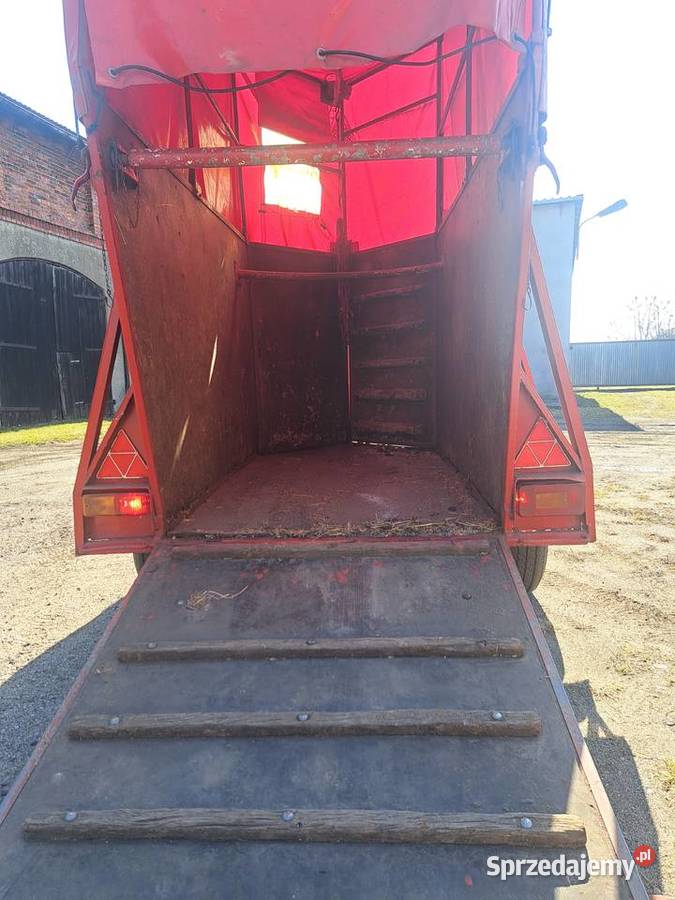 Przyczepka Złotniki Kujawskie