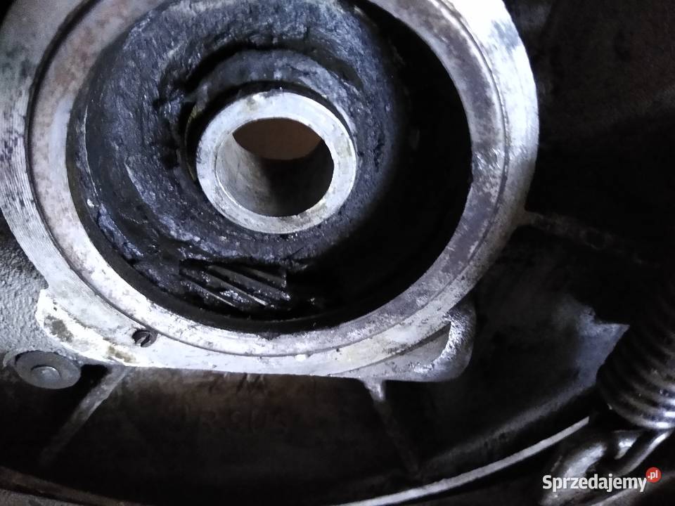 Junak m10 szczekotrzymacz tarcz kotwiczna Kruszwica