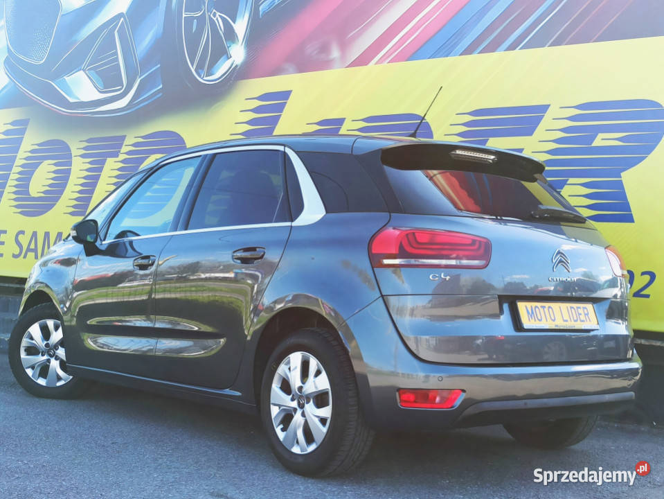 117 bogata podkarpackie Rzeszów