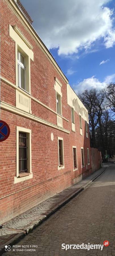 Lokal użytkowy aptece Chocianów Sprzedaż
