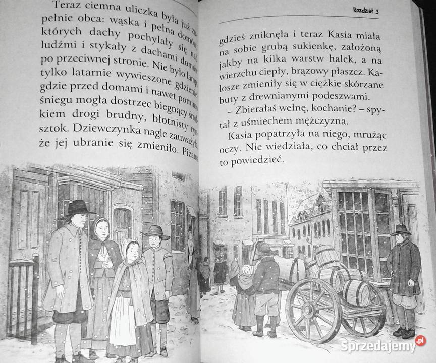 Zaopiekuj się mną Śnieżka zimowy lis Holly Webb Chełm
