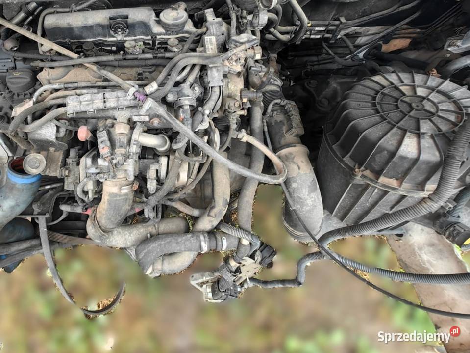 Silnik Citroen Jumper 20 Blue HDI DW10FU Żywiec sprzedam