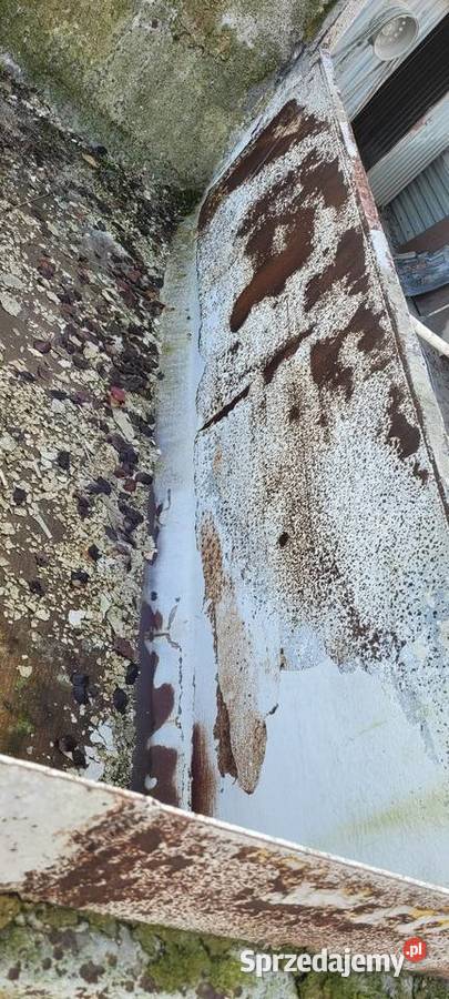 Kiper kujawsko-pomorskie Inowrocław