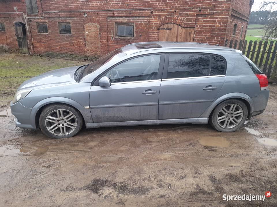 Opel Signum 19 tdi 150 spalanie 4 litry Toruń