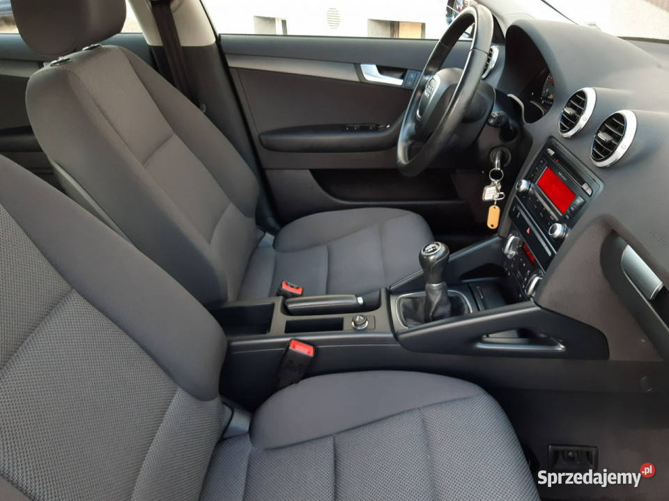 Audi A3 20 COMMON RAiL STAN KLiMAtronik halogeny