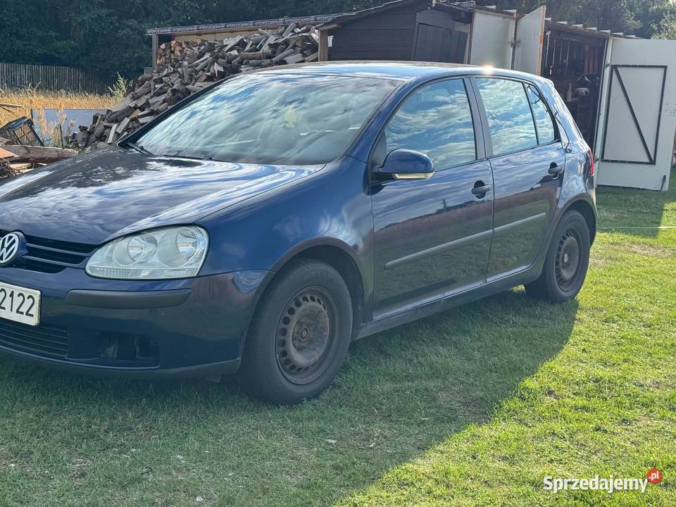 Golf 5 V 19TDI 90 nieuszkodzony Golf Wróblew