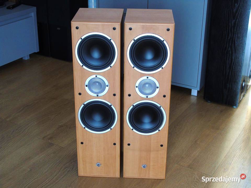 Kolumny Cat 2 x 380 wat ładne DOSTAWA Jasło