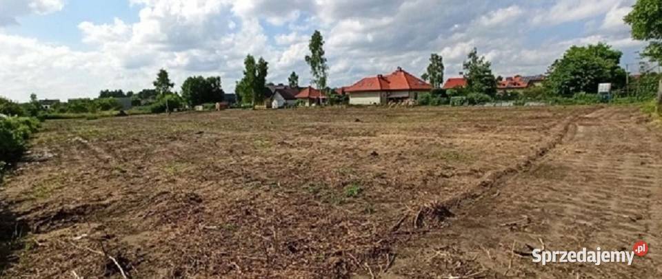 Działka Budowlana 6600 m2 Różanej Syców dolnośląskie