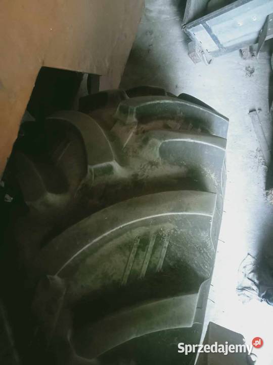 Kombajn zbożowy Bizon Super Z056 Bizon Rolnictwo łódzkie Wola Krzysztoporska