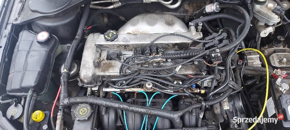 Części mondeo MK3 2002r 20 16v CJBA G0 maska Rok produkcji 2002 Hańsk Pierwszy