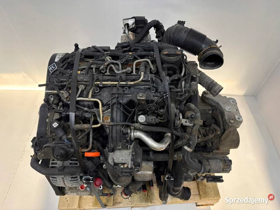 SILNIK CFH CFHF Skoda Yeti Octavia II 20 TDI 110 osobowe Chełm