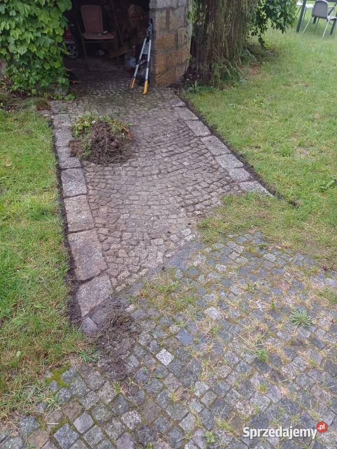 Koszenie trawy i prace ogrodowe