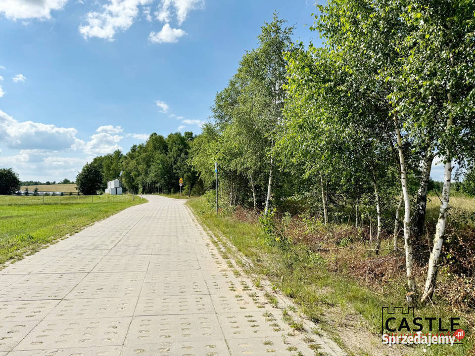do jeziora Gowidlińskiego I Kaszuby I Las