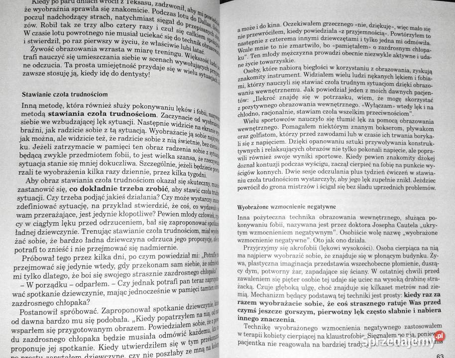 Wyobraźnia w psychoterapii Arnold A Lazarus miękka Chełm